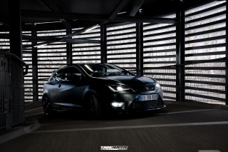 BUSTED_Seat_Ibiza_Cupra_2_15