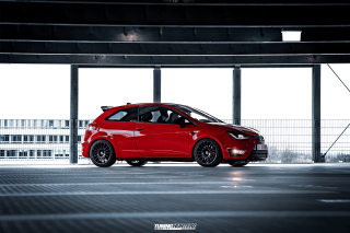 BUSTED_Seat_Ibiza_Cupra_01