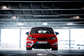 BUSTED_Seat_Ibiza_Cupra_02