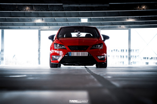 BUSTED_Seat_Ibiza_Cupra_03