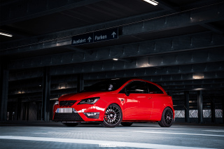 BUSTED_Seat_Ibiza_Cupra_11