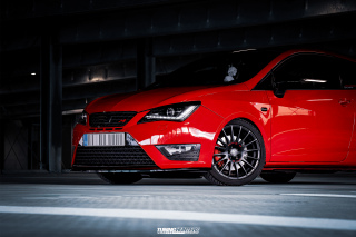 BUSTED_Seat_Ibiza_Cupra_12