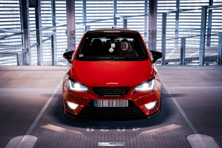 BUSTED_Seat_Ibiza_Cupra_21