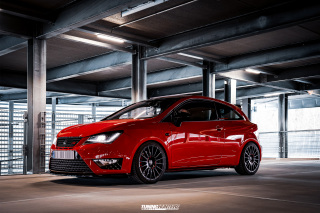 BUSTED_Seat_Ibiza_Cupra_26
