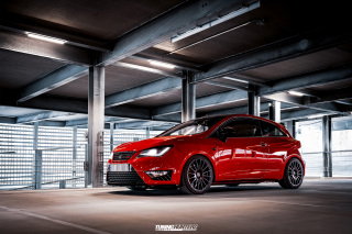 BUSTED_Seat_Ibiza_Cupra_27