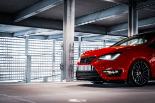 BUSTED_Seat_Ibiza_Cupra_28