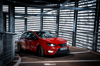 BUSTED_Seat_Ibiza_Cupra_35
