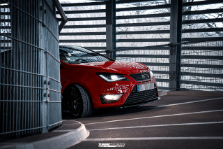 BUSTED_Seat_Ibiza_Cupra_45