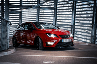 BUSTED_Seat_Ibiza_Cupra_46
