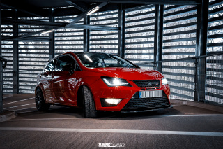 BUSTED_Seat_Ibiza_Cupra_47