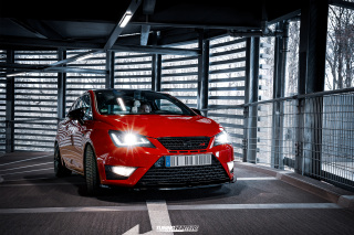 BUSTED_Seat_Ibiza_Cupra_48