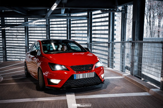 BUSTED_Seat_Ibiza_Cupra_49