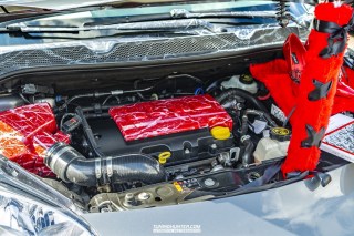 IMGP7543