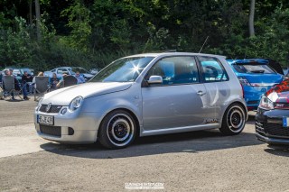 IMGP7651