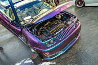 IMGP7884