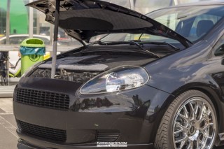 IMGP2782