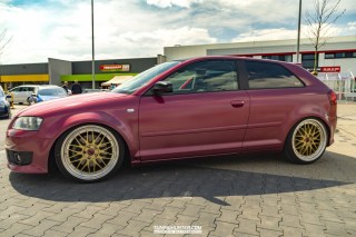 IMGP2826