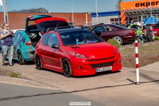 IMGP3466-1