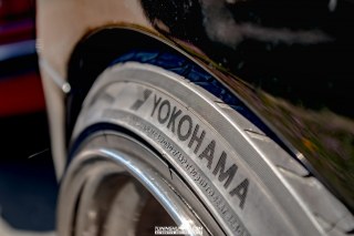 IMGP3545-1