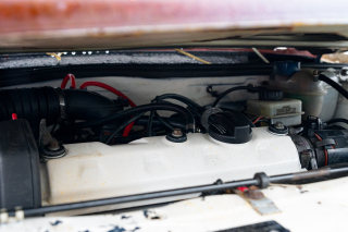 18_Ostereier_Treffen_Schwanewede_2024_018