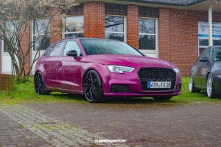 18_Ostereier_Treffen_Schwanewede_2024_493