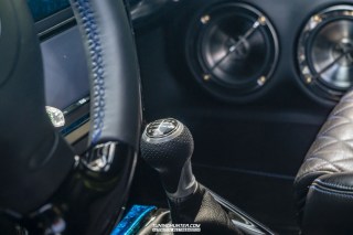 IMGP6383