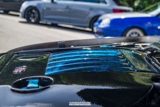 IMGP6384