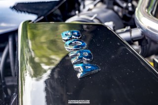 IMGP6386