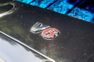 IMGP6388