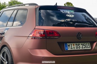 IMGP6454