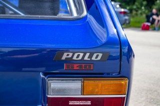 IMGP6682