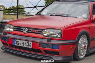 IMGP6929