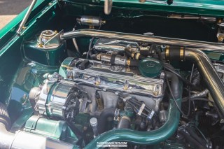 IMGP7005