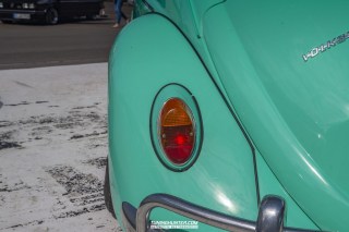 IMGP7085