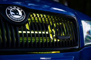 Tief_im_Hof_SE_2025_019