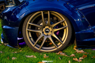 Tief_im_Hof_SE_2025_044