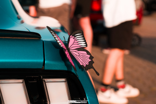 Daily_Driven_Germany-Season_Open_341