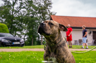 JustDeep_Tief_im_Hof_2026_065