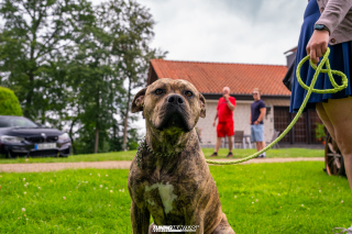 JustDeep_Tief_im_Hof_2026_066