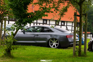 JustDeep_Tief_im_Hof_2026_433