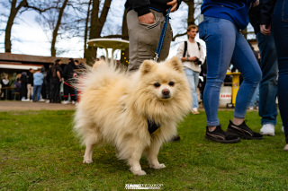 N3xtl3v3l_Seasonopen_366