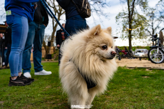 N3xtl3v3l_Seasonopen_367