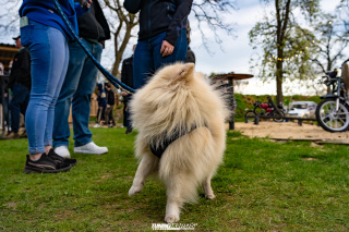 N3xtl3v3l_Seasonopen_368