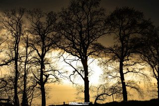 N3xtl3v3l_Seasonopen_369