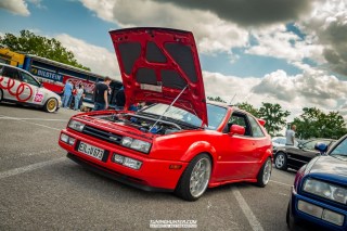 IMGP9311