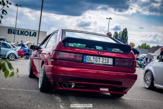 IMGP9542