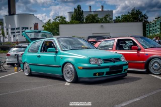 IMGP9550