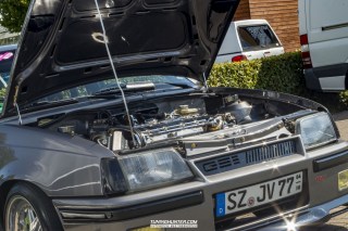IMGP8231