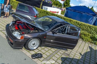 IMGP8242