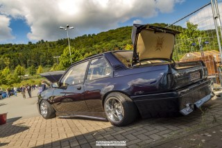IMGP8313